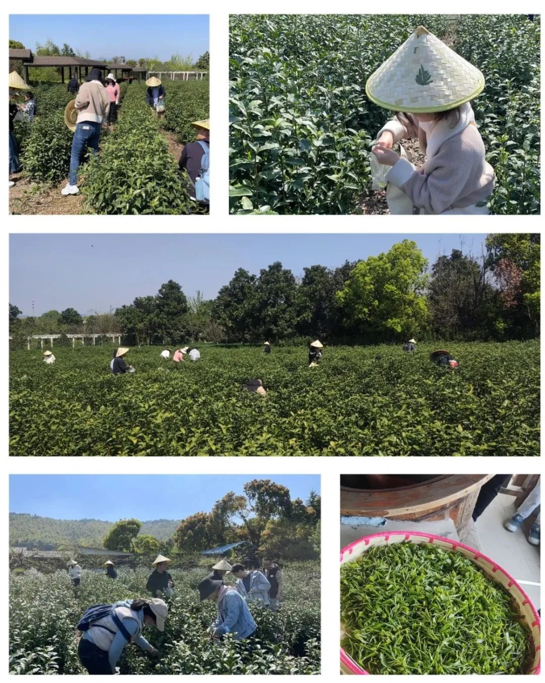 1687662315129743.jpg 640 (3).jpg